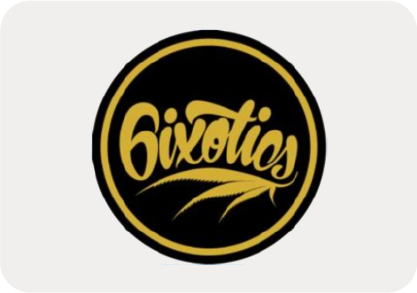 6ixotics